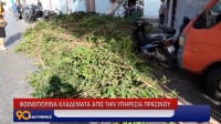 ΦΘΙΝΟΠΩΡΙΝΑ ΚΛΑΔΕΜΑΤΑ ΑΠΟ ΤΗΝ ΥΠΗΡΕΣΙΑ ΠΡΑΣΙΝΟΥ